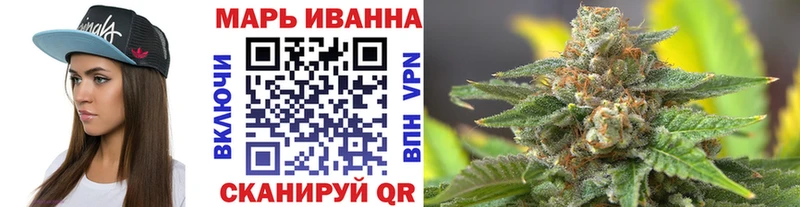 МЕФ Магас
